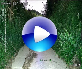 開(kāi)寧智能黑光全彩高清監(jiān)控夜視效果-自動(dòng)變光