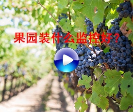 果園裝什么監(jiān)控好？