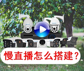 怎么搭建慢直播？