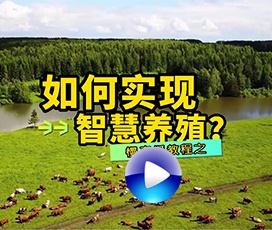 智慧養(yǎng)殖慢直播系統(tǒng)如何搭建？