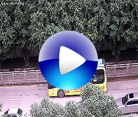 開寧500萬溫濕度慢直播攝像機實時視頻效果！