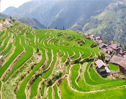 貴州加榜梯田：融合傳統(tǒng)與現(xiàn)代，安裝開寧慢直播設(shè)備進(jìn)行直播