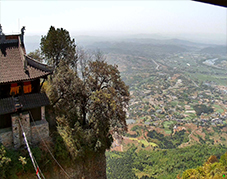 竇圌四時(shí)：4K 直播里的歲月流轉(zhuǎn)