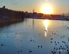 開(kāi)寧4K全彩高清慢直播球機(jī)鏡頭下的四季戀歌