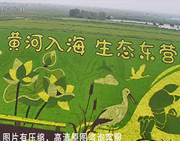 開(kāi)寧慢直播賦能東營(yíng)黃河入?？谖穆脗鞑?shí)踐