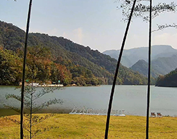 杭州富春方外酒店使用慢直播攝像機(jī)進(jìn)行慢直播