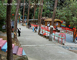 清遠(yuǎn)清新花園酒店用開寧4G慢直播攝像機(jī)直播松林美景