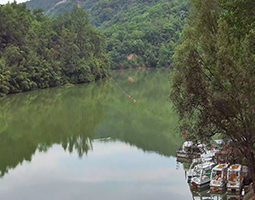 西安鯨魚溝竹海風(fēng)景區(qū)使用開寧慢直播攝像機(jī)進(jìn)行直播