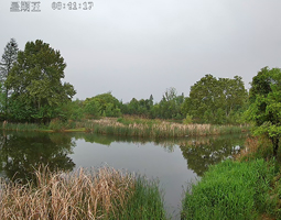 湖北省武漢市的東湖風(fēng)景區(qū)觀鳥屋使用開寧慢直播攝像機(jī)實(shí)時(shí)直播