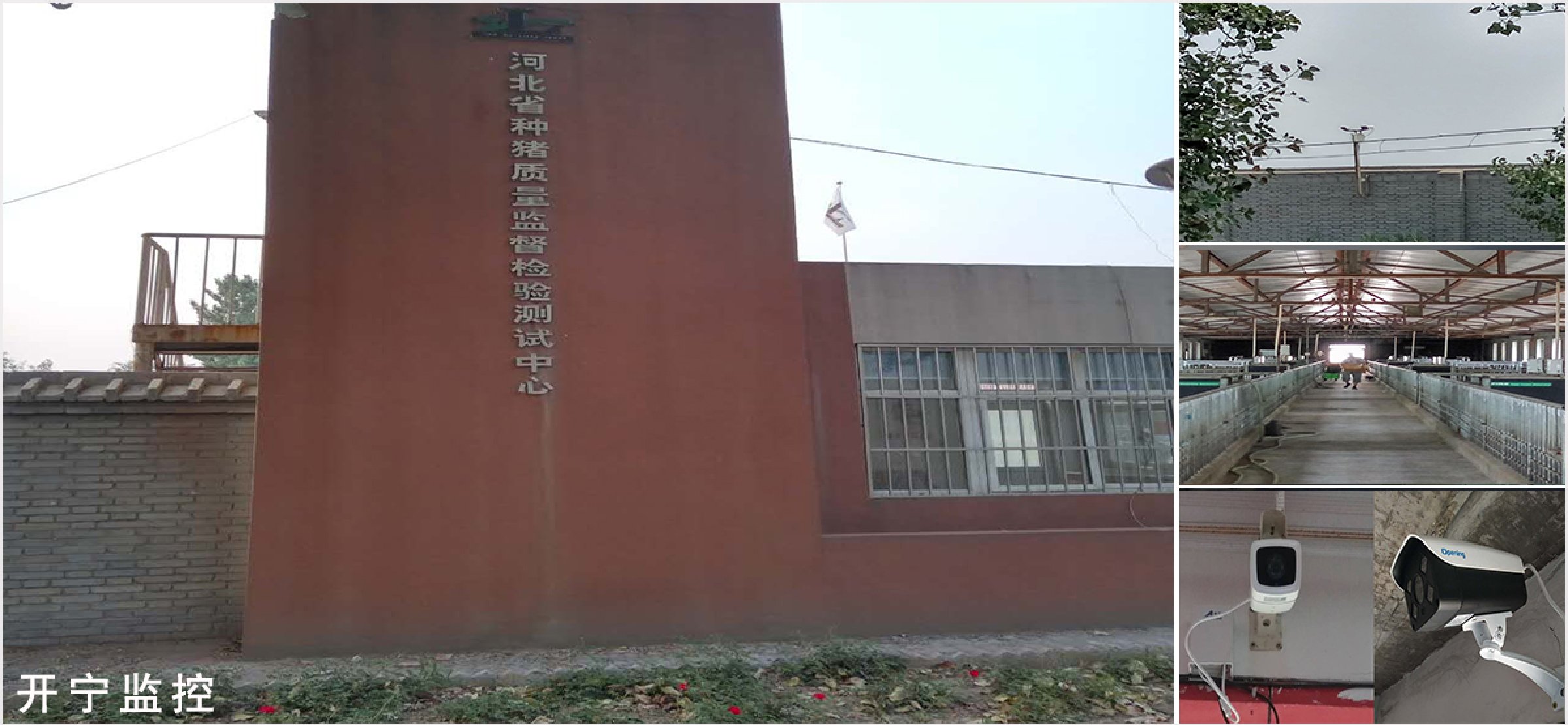 開寧養(yǎng)殖場監(jiān)控案例